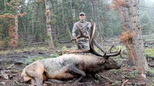 Utah Monster 420 3/4 P&Y Archery Elk: Alonzo Ashworth Bull