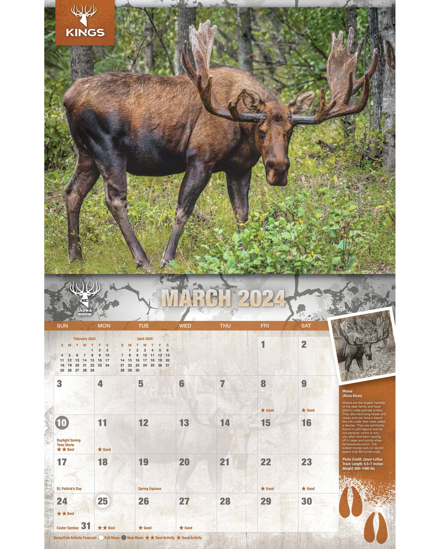 2024 Kings Wildlife Calendar TWIN PACK